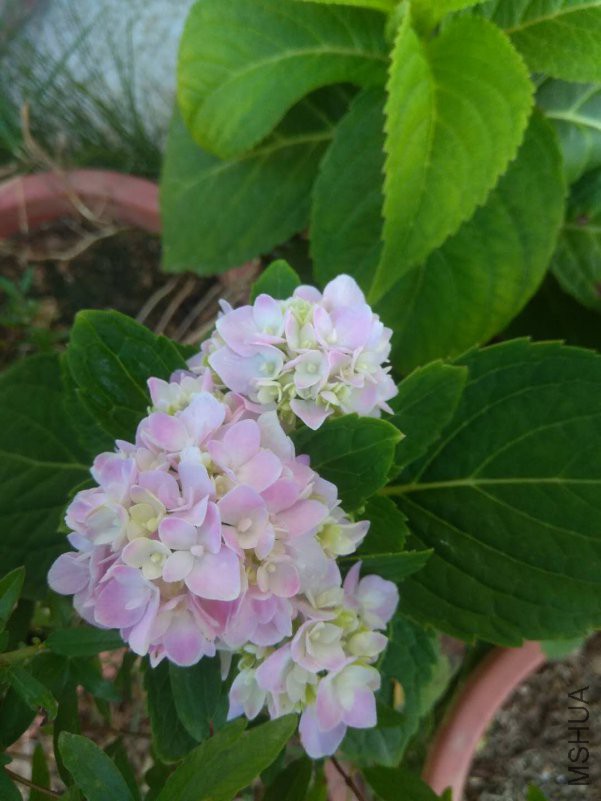 ΢��ͼƬ_20180815205833.jpg