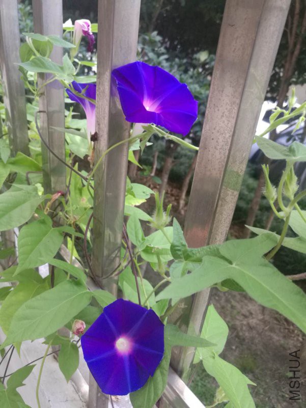 ΢��ͼƬ_20180816163744.jpg