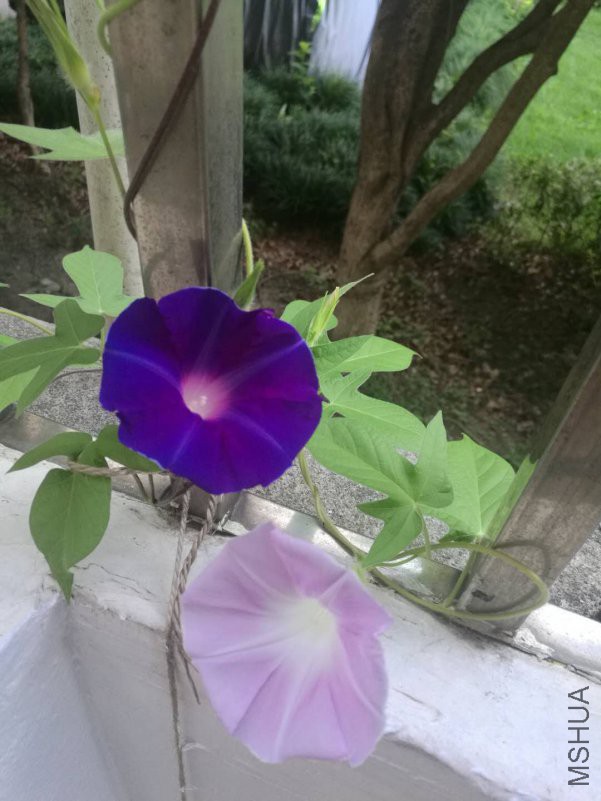 ΢��ͼƬ_20180816163747.jpg