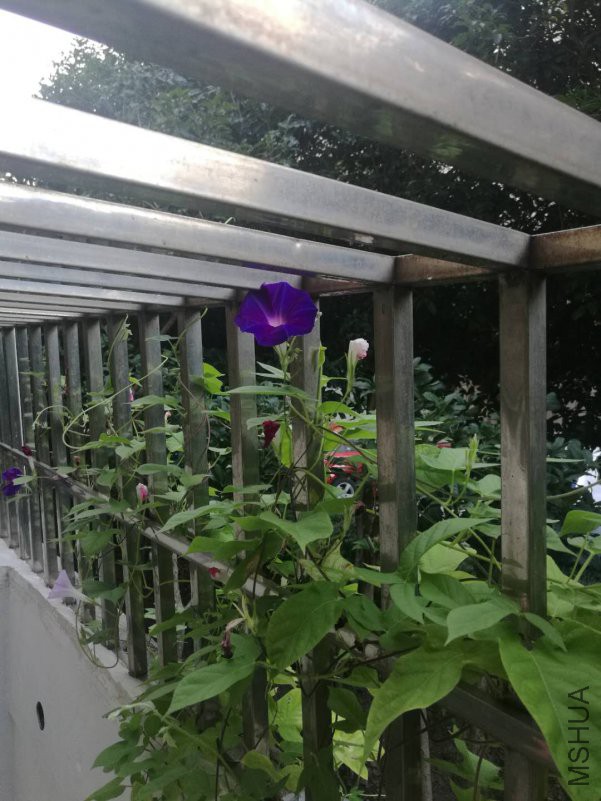 ΢��ͼƬ_20180816163751.jpg