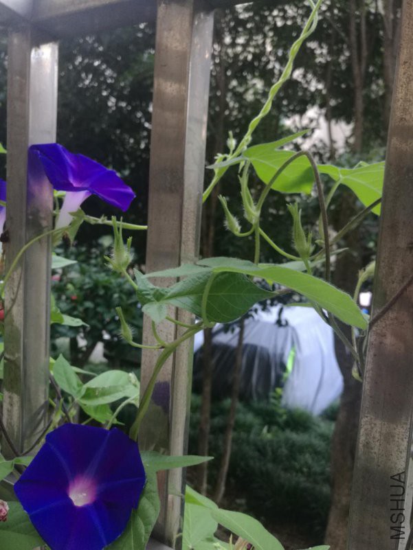 ΢��ͼƬ_20180816163754.jpg
