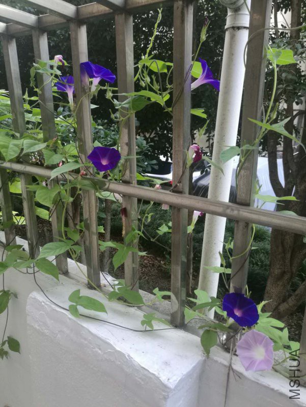 ΢��ͼƬ_20180816163757.jpg