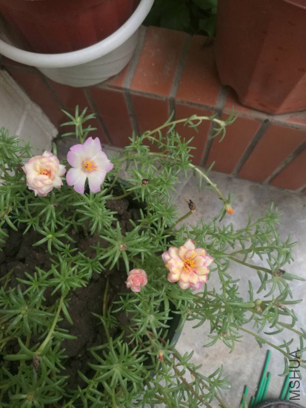 ΢��ͼƬ_20180816163709.jpg