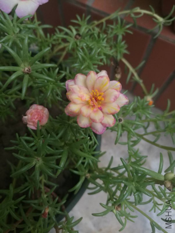 ΢��ͼƬ_20180816163713.jpg