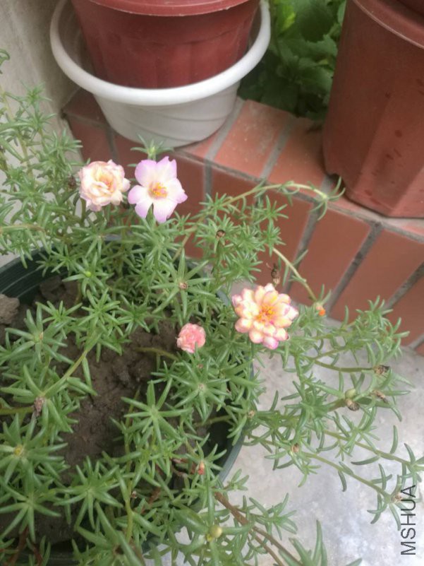 ΢��ͼƬ_20180816163716.jpg