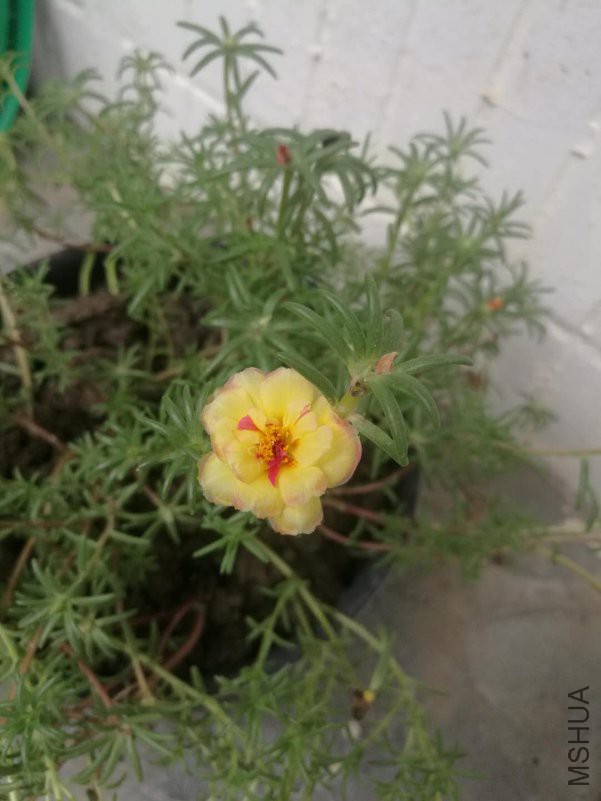 ΢��ͼƬ_20180816163719.jpg