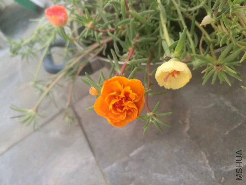 ΢��ͼƬ_20180816163725.jpg