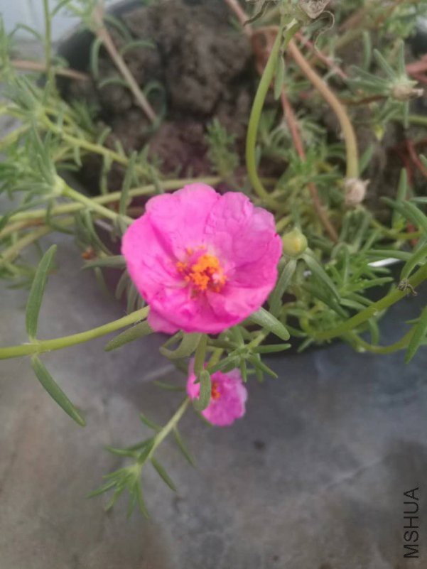 ΢��ͼƬ_20180816163722.jpg
