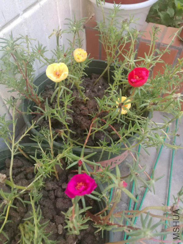 ΢��ͼƬ_20180816163731.jpg