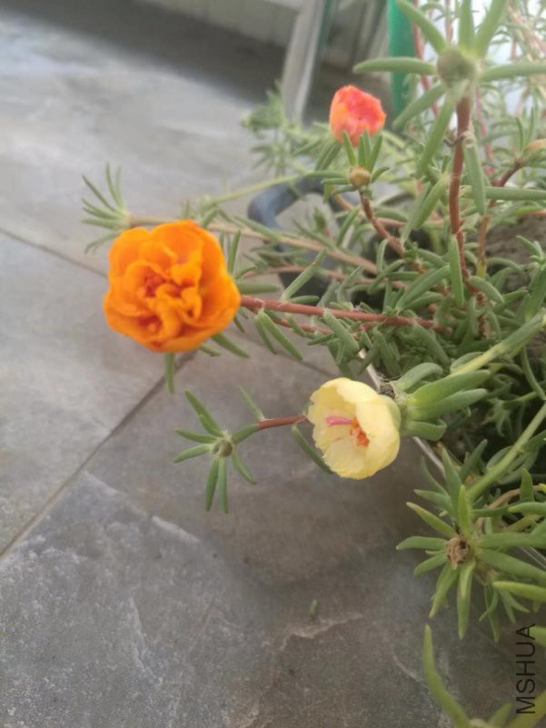 ΢��ͼƬ_20180816163728.jpg