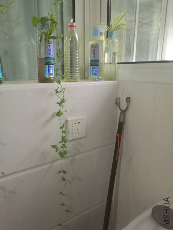 ΢��ͼƬ_20180816173022.jpg
