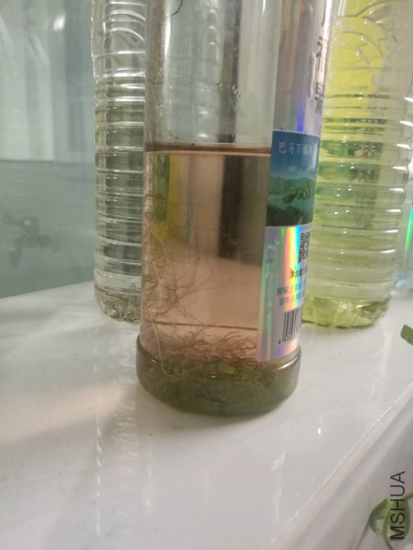 ΢��ͼƬ_20180816173029.jpg