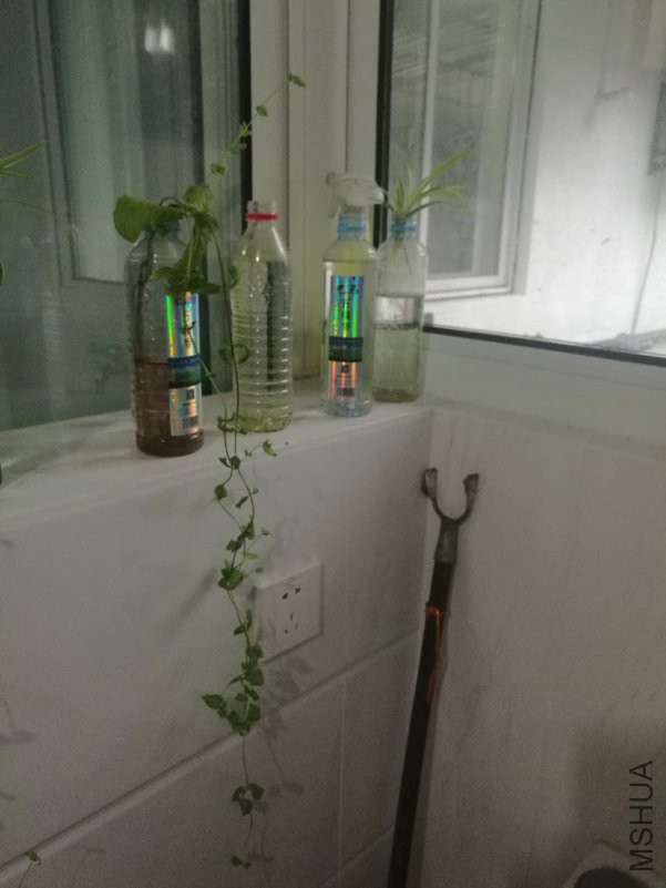 ΢��ͼƬ_20180816173041.jpg