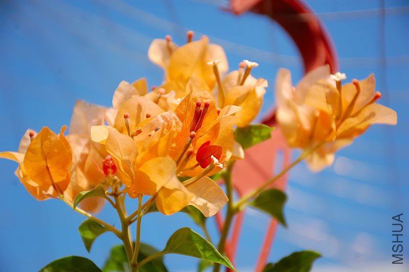 DSC_20030316.JPG