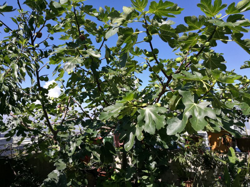 IMG_20180819_102845.jpg