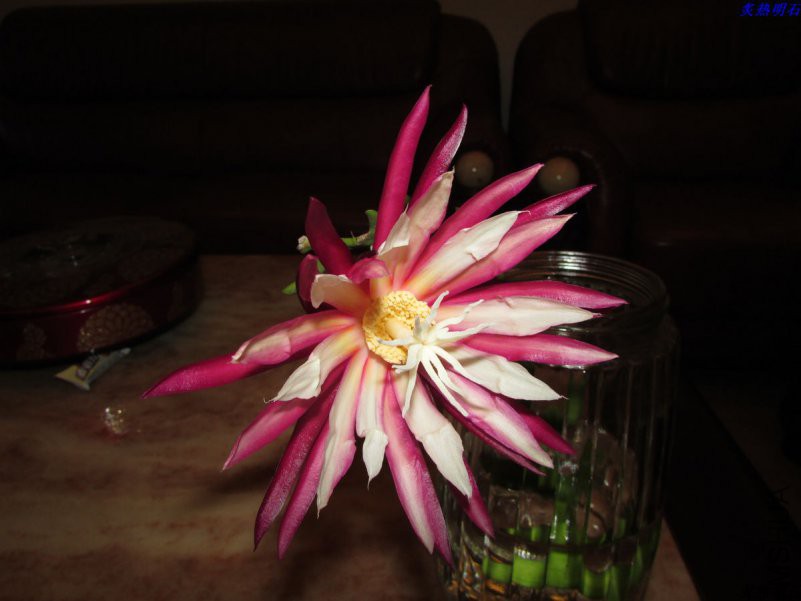IMG_4534_nEO_IMG.jpg