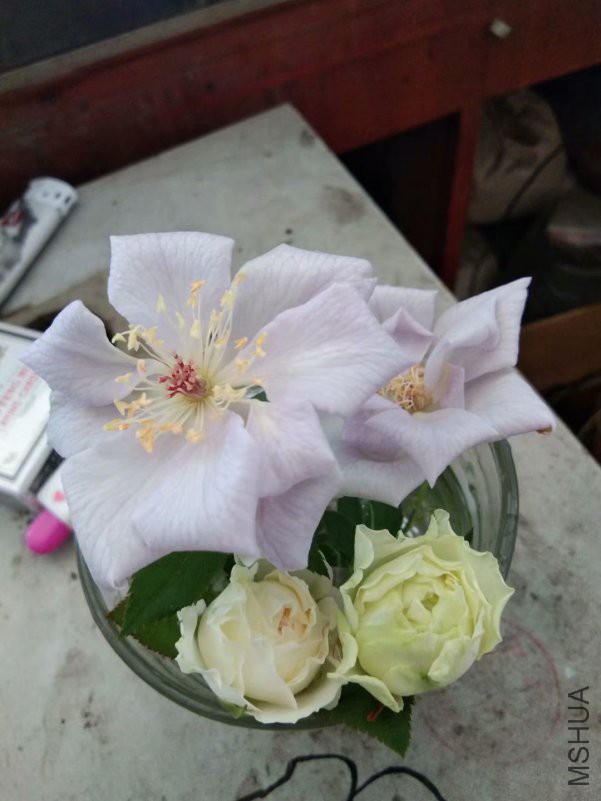 ת��������