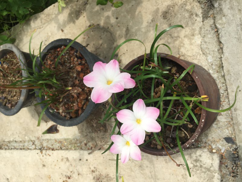 ΢��ͼƬ_20180821144942.jpg