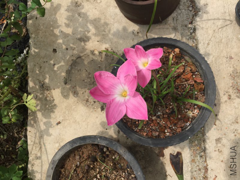 ΢��ͼƬ_20180821144954.jpg