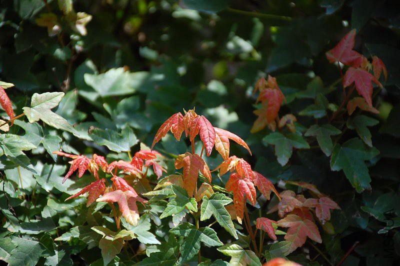 DSC_29290002.JPG