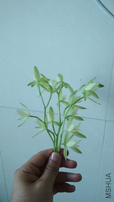 IMG_20180827_152625.jpg