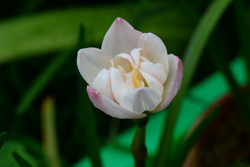 DSC_2990.JPG