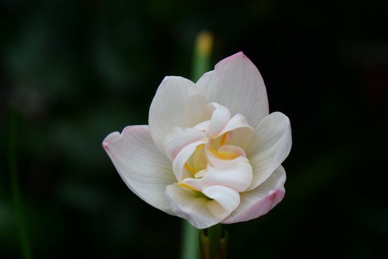 DSC_3014.JPG