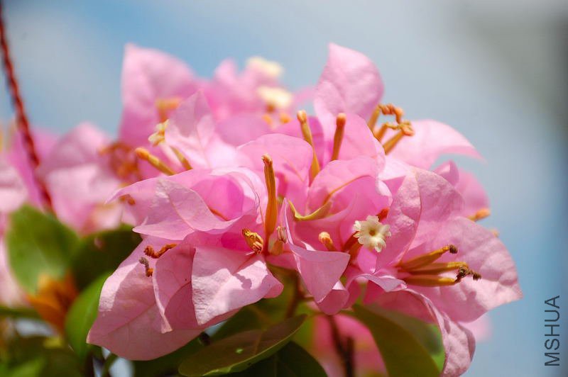 DSC_43040587.JPG