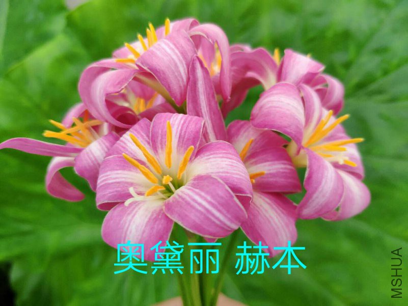 IMG_20180903_110357.JPG