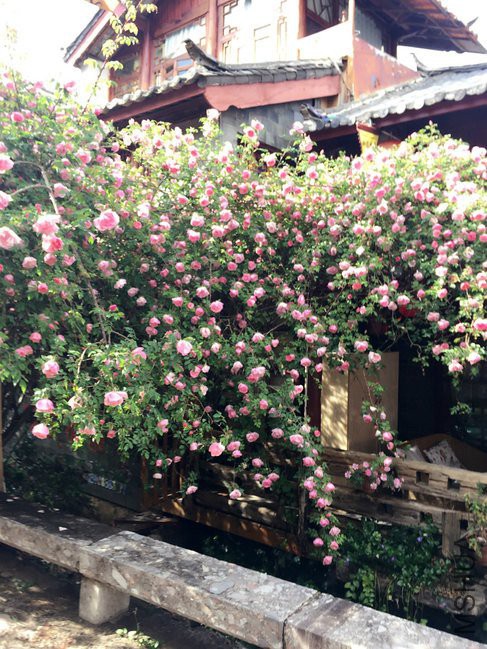 CggYtFcVndyAfqn4AAJE8AxzxiA230_R_1024_10000_Q90 (1).jpg