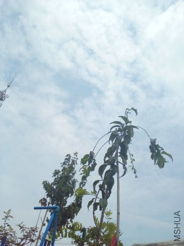 QQͼƬ20180908172006.jpg