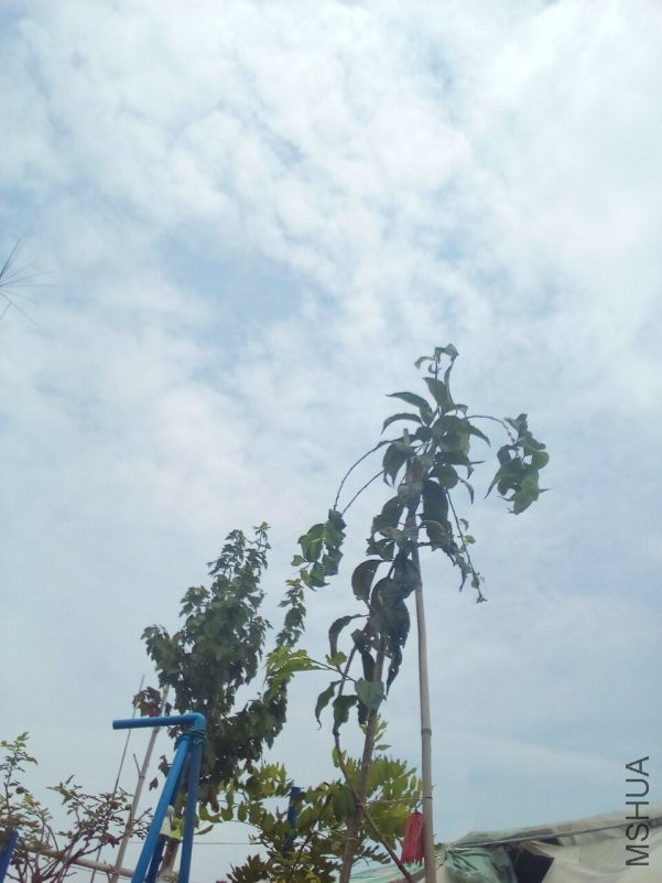 QQͼƬ20180908172011.jpg