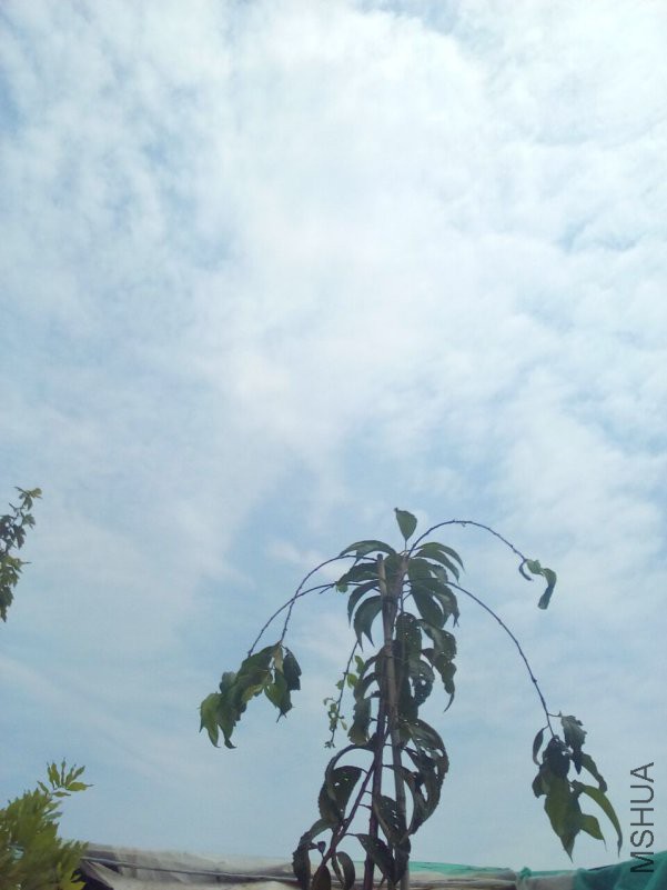 QQͼƬ20180908172027.jpg