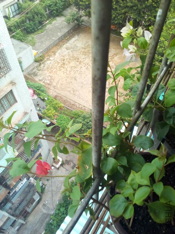 QQͼƬ20180908171954.jpg