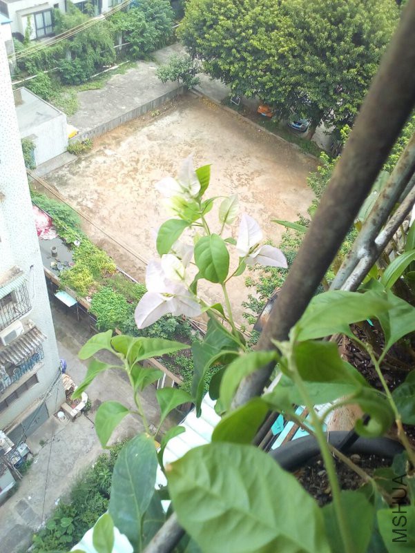 QQͼƬ20180908171959.jpg