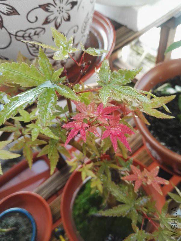 ΢��ͼƬ_20180910160711.jpg