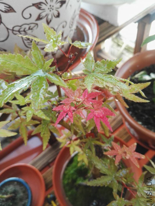 ΢��ͼƬ_201809101607115.jpg