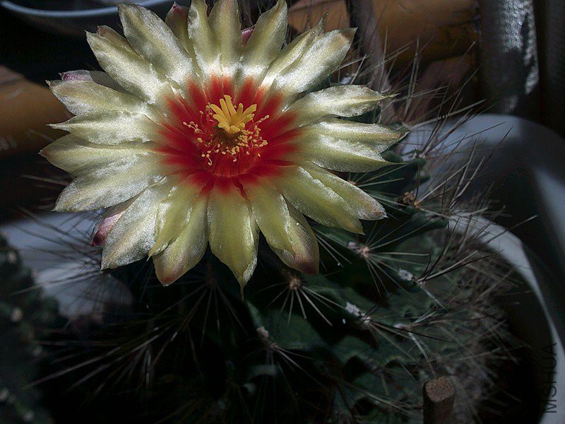 DSCF0015_����.jpg