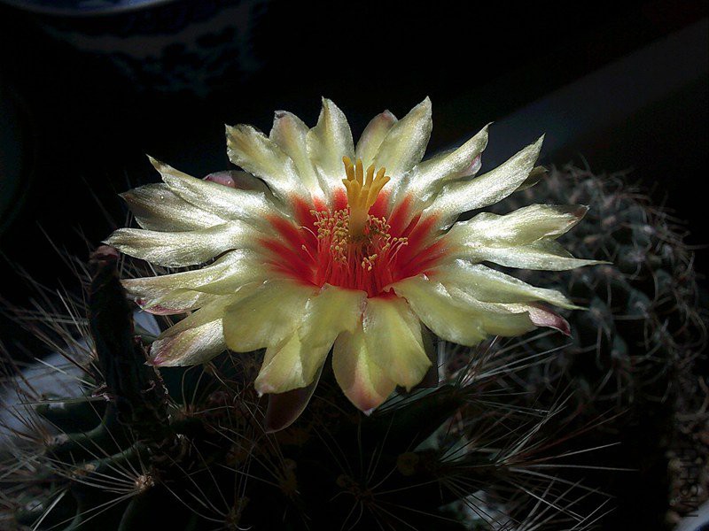 DSCF0017_����.jpg