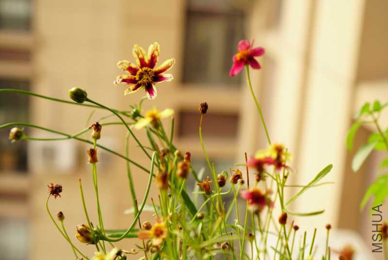 LRG_DSC00108.JPG