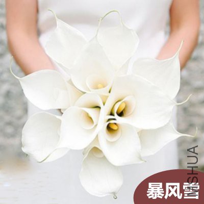 O1CN011xusSvdQApDVVSZ_!!2672156504.jpg_400x400_����.jpg