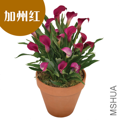 ���ݺ�  20-24 ��ɫ.jpg