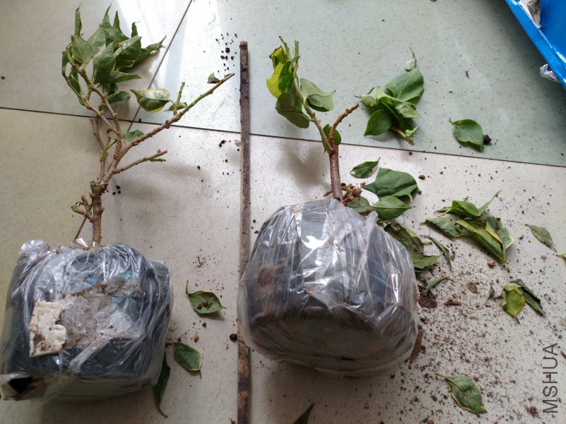 ΢��ͼƬ_20180914112728.jpg