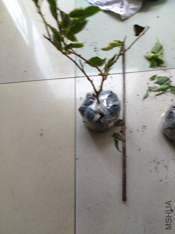 ΢��ͼƬ_20180914112734.jpg
