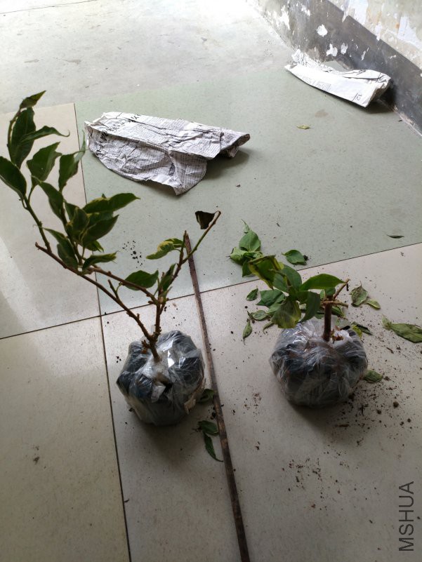΢��ͼƬ_20180914112741.jpg