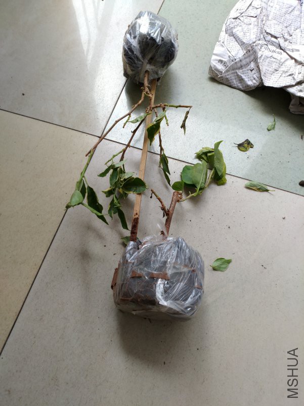 ΢��ͼƬ_20180914112709.jpg