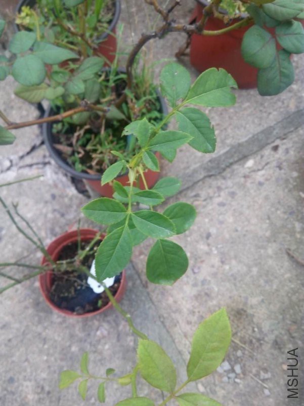 ���΢��ͼƬ_20180917212218.jpg