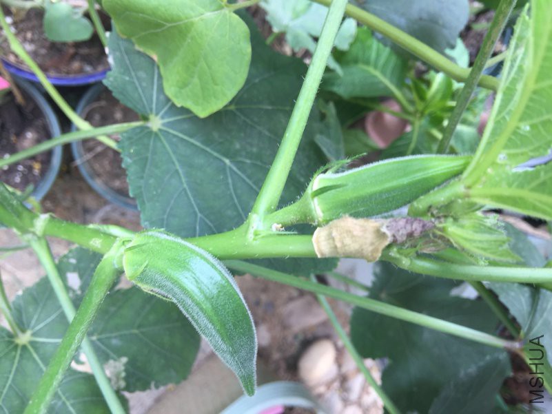 ΢��ͼƬ_20180918083650.jpg