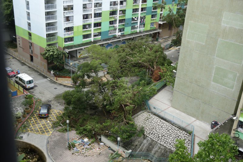 40�q�Ĵ���B��������,�ɑz��!