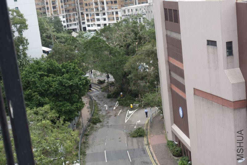  ���ϸ���Ę�(���S��100�q�˰�?!)ֻ����Щ֦�l,�����f��!